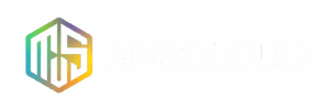 MVS Cloud Logo